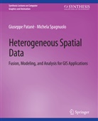Giuseppe Patanè, Michela Spagnuolo - Heterogeneous Spatial Data