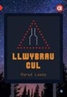 Mared Lewis - Cyfres Amdani: Llwybrau Cul