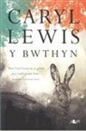 Caryl Lewis - Y Bwthyn