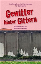 Slim Bedoui, Kenny Berger, Kenny u a Berger, Frank Bieber-Kopf, X. Hardeck, Johannes J&ouml;tten... - Gewitter hinter Gittern