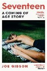 Joe Gibson, JOE GIBSON - Seventeen