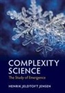 HENRIK JELDT JENSEN, Henrik Jeldtoft Jensen, Henrik Jeldtoft (Imperial College London) Jensen, Jensen Henrik Jeldtoft - Complexity Science