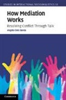 Angela Cora Garcia, Garcia Angela Cora - How Mediation Works