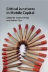 Jocelyn (Macquarie University Pixley, Helena Flam, Flam Helena, Jocelyn Pixley - Critical Junctures in Mobile Capital