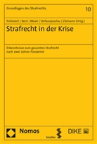 Susanne Beck, Bernd-Die Meier, Bernd-Dieter Meier, Erol Pohlreich, Georgia Stefanopoulou, Sascha Zielmann - Strafrecht in der Krise