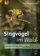 Robert Pfeifer, Olaf Schmidt - Singvögel im Wald
