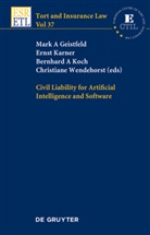 Mark A Geistfeld et al, Bernhard A Koch, Bernhard A Koch et al, Mark A. Geistfeld, Ernst Karner, Bernhard A. Koch... - Civil Liability for Artificial Intelligence and Software