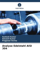 Amresh Kumar, Santosh Kumar, Prajjawal Verma - Analyse Edelstahl AISI 304