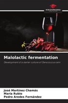 Pedro Aredes Fernández, José Martínez Chamás, María Rubio - Malolactic fermentation