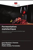 Pedro Aredes Fernández, José Martínez Chamás, María Rubio - Fermentation malolactique