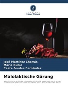 Aredes Fernánde, Pedro Aredes Fernández, José Martínez Chamás, María Rubio - Malolaktische Gärung