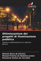 Rômulo Alves de Oliveira, Manoel Firmino de Medeiros Júnior, Roseanne Santos de Carvalho - Ottimizzazione dei progetti di illuminazione pubblica