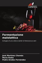 Pedro Aredes Fernández, José Martínez Chamás, María Rubio - Fermentazione malolattica