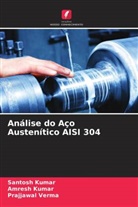Amresh Kumar, Santosh Kumar, Prajjawal Verma - Análise do Aço Austenítico AISI 304