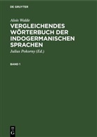Alois Walde, Julius Pokorny - Alois Walde: Vergleichendes Wörterbuch der indogermanischen Sprachen - Band 1: Alois Walde: Vergleichendes Wörterbuch der indogermanischen Sprachen. Band 1