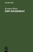Bernhard Pfister - Der Waisenrat