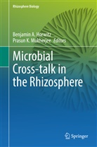 Benjamin A Horwitz, Benjamin A. Horwitz, K Mukherjee, Prasun K. Mukherjee - Microbial Cross-talk in the Rhizosphere