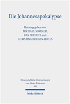 Christina Hoegen-Rohls, Uta Poplutz, Michael Sommer - Die Johannesapokalypse