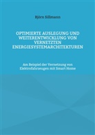 Björn Sillmann - Optimierte Auslegung und Weiterentwicklung von vernetzten Energiesystemarchitekturen