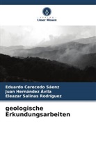Eduardo Cerecedo Sáenz, Juan Hernández Ávila, Sali, Eleazar Salinas Rodríguez - geologische Erkundungsarbeiten