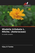 Vijay D Tambe - Wedelia trilobata L. Hitche. (Asteraceae)