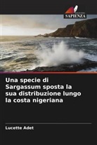 Lucette Adet - Una specie di Sargassum sposta la sua distribuzione lungo la costa nigeriana