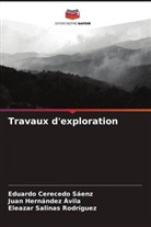 Eduardo Cerecedo Sáenz, Juan Hernández Ávila, Eleazar Salinas Rodríguez - Travaux d'exploration