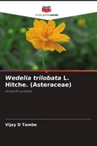 Vijay D Tambe - Wedelia trilobata L. Hitche. (Asteraceae)
