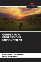 Chancelier Cirimwami, Denis Mukwege - GENDER IN A PROFESSIONAL ENVIRONMENT