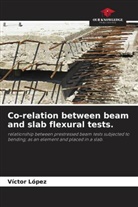 Víctor López - Co-relation between beam and slab flexural tests.
