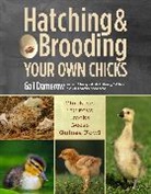 Gail Damerow - Hatching & Brooding Your Own Chicks