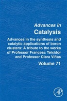 Montserrat Dieguez, Montserrat Diéguez, Rosario Nunez - Advances in the Synthesis and Catalytic Applications of Boron Cluster