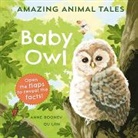 Anne Rooney, Rooney Anne, Qu Lan - Amazing Animal Tales: Baby Owl