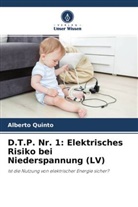 Alberto Quinto - D.T.P. Nr. 1: Elektrisches Risiko bei Niederspannung (LV)