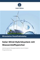 Miraniaina Razafindredohy - Solar-Wind-Hybridsystem mit Wasserstoffspeicher