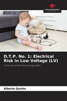 Alberto Quinto - D.T.P. No. 1: Electrical Risk in Low Voltage (LV)