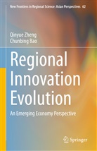 Chunbing Bao, Qinyue Zheng - Regional Innovation Evolution