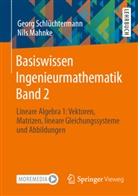 Nils Mahnke, Nils (Pr Mahnke, Georg Schlüchtermann, Georg (Prof. Dr.) Schlüchtermann - Basiswissen Ingenieurmathematik Band 2