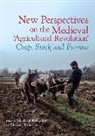 Helena (Professor of Early Medieval Archa Hamerow, Helena Hamerow, Helena (Professor of Early Medieval Archaeology Hamerow, Mark McKerracher, Mark (Postdoctoral Researcher McKerracher - New Perspectives on the Medieval Agricultural Revolution