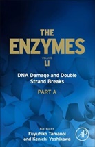 Fuyuhiko Tamanoi, Kenichi Yoshikawa - Dna Damage and Double Strand Breaks