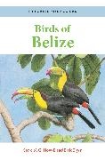 Dale Dyer,  Dyer Dale, Steve N. G. Howell, Steve N. G. Dyer Howell,  Howell Steve N. G., Dale Dyer... - Birds of Belize