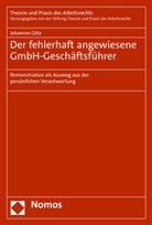 Johannes Götz, Stiftung Theorie und Praxis des Arbeitsre - Der fehlerhaft angewiesene GmbH-Geschäftsführer