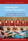 Cesar (New York University) Rodriguez-Garavito, César Rodríguez-Garavito - Litigating the Climate Emergency