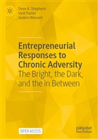 Vinit Parida, Dean A Shepherd, Dean A. Shepherd, Joakim Wincent - Entrepreneurial Responses to Chronic Adversity