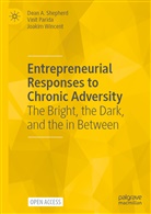 Vinit Parida, Dean A Shepherd, Dean A. Shepherd, Joakim Wincent - Entrepreneurial Responses to Chronic Adversity