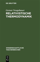 Gernot Neugebauer - Relativistische Thermodynamik