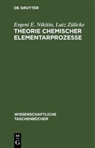 Evgeni E. Nikitin, Lutz Zülicke - Theorie chemischer Elementarprozesse