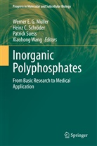 I-Hong Hou, P R Kumar, Heinz C Schröder, Werner E. G. Müller, Heinz C. Schröder, Patrick Suess... - Inorganic Polyphosphates
