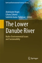 Gabriela Ioana-Toroimac, Abdelazim Negm, Liliana Zaharia - The Lower Danube River