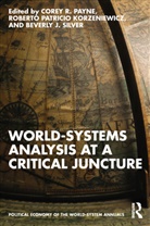Corey Korzeniewicz Payne, Roberto Patricio Korzeniewicz, Korzeniewicz Roberto Patricio, Corey Payne, Beverly J Silver, Beverly J. Silver... - World-Systems Analysis At a Critical Juncture